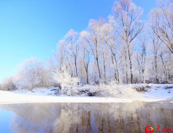 图说中国:黑龙江加格达奇雾凇美景